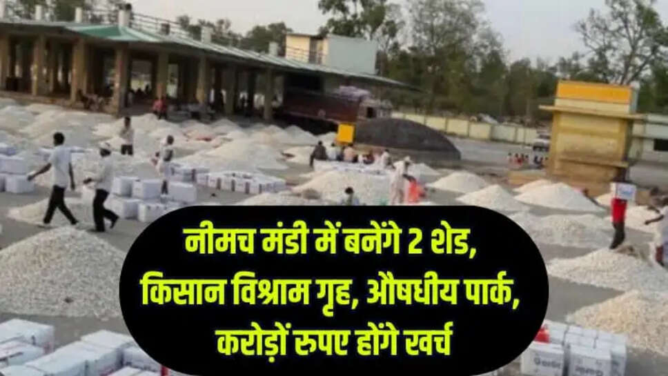 नीमच मंडी