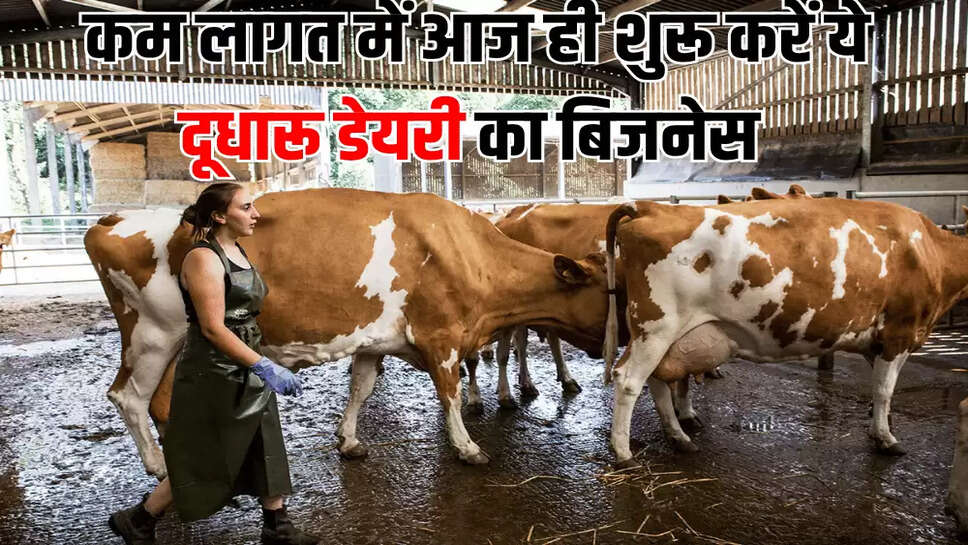  कम लागत में आज ही शुरू करें ये दूधारू डेयरी का बिजनेस