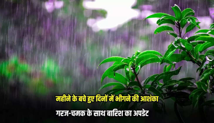 Mandsaur News