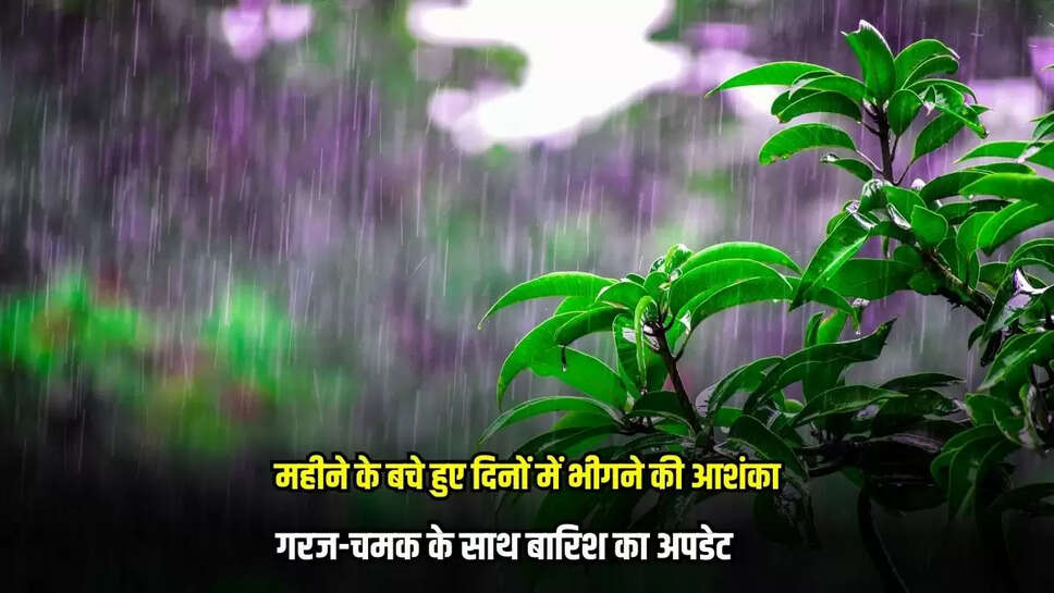Mandsaur News