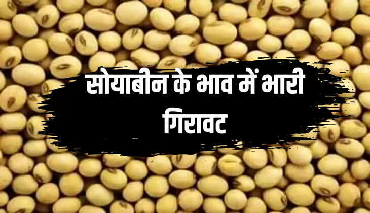 सोयबीन के भाव