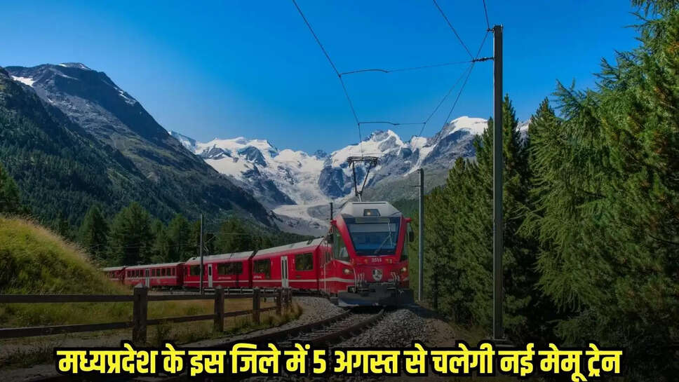 MP News