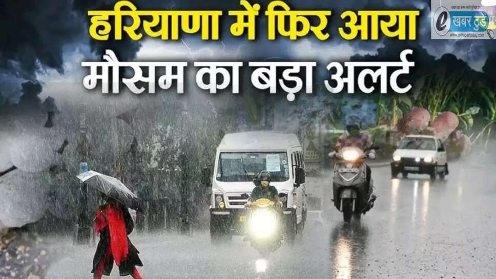 Haryana weather update ,