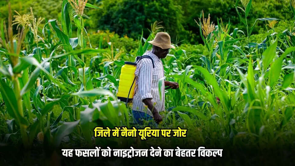 Mandsaur News