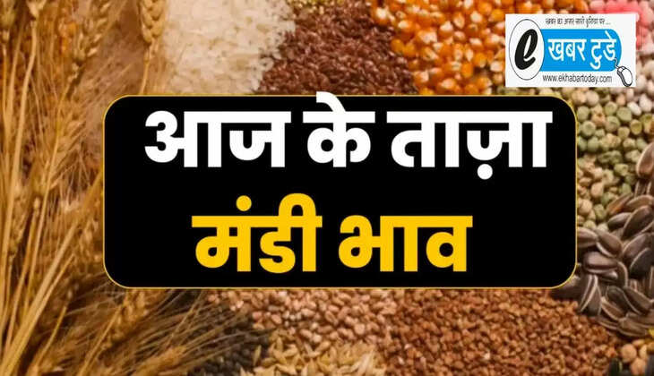 todays market prices of all crops