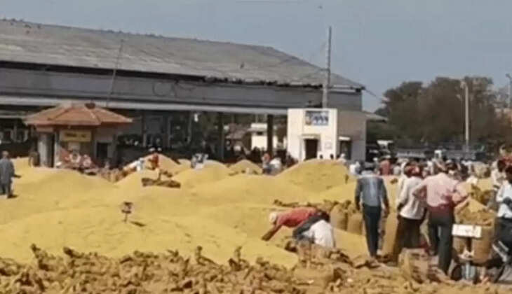 गेहूं के भाव 