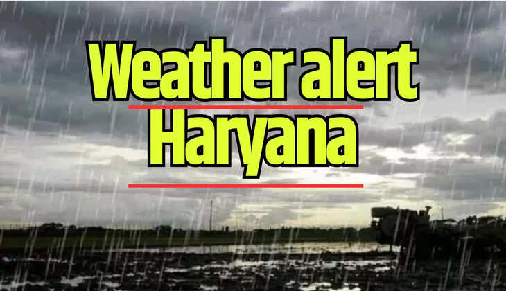 Haryana weather update