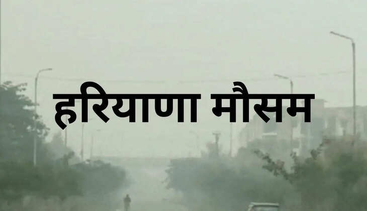 हरियाणा के 15 जिलों में हुई बारिश