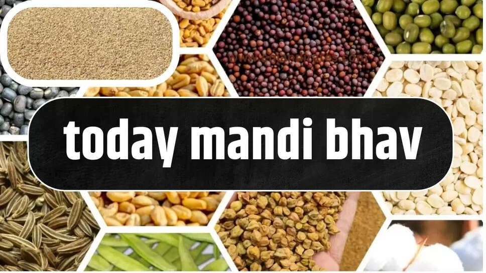 Today mandi bhav