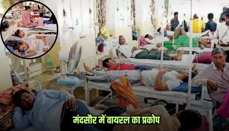 Mandsaur news, MP news,