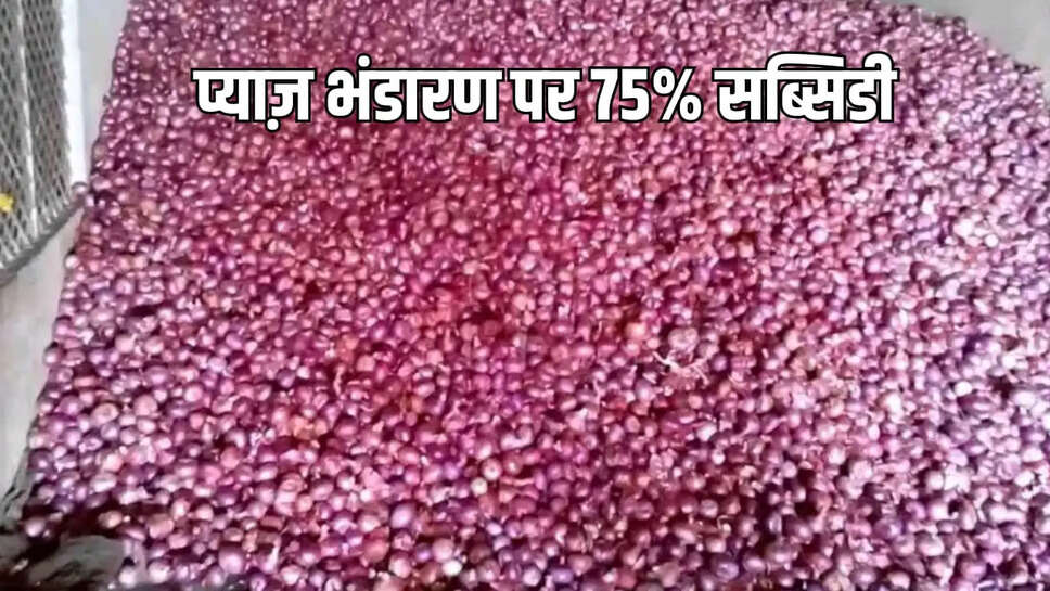 प्याज भंडारण