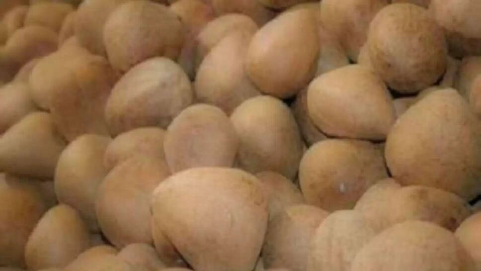 खोपरा गोला 