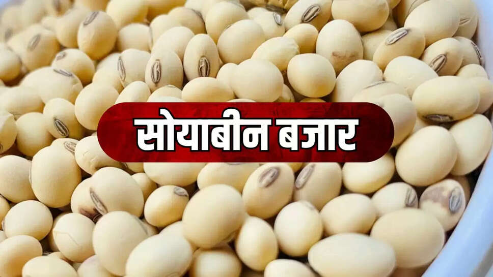 soya market