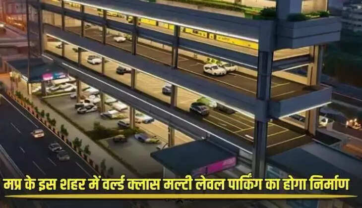 Mp news