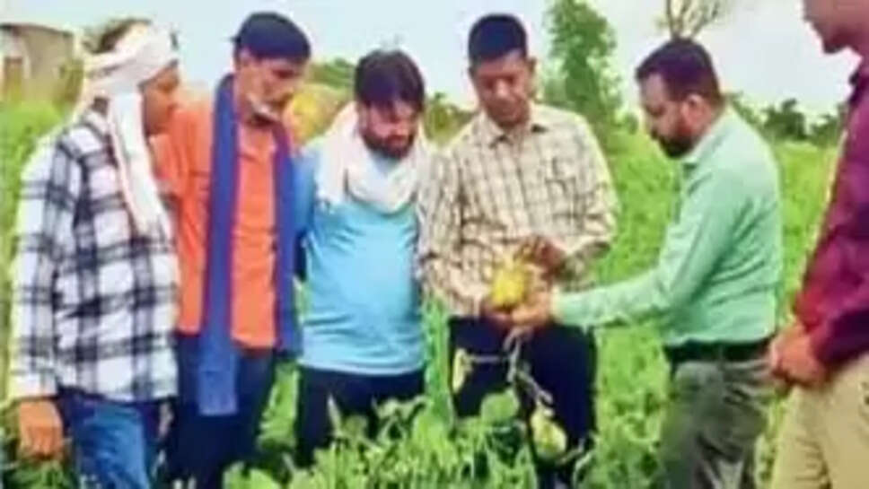 Harda News