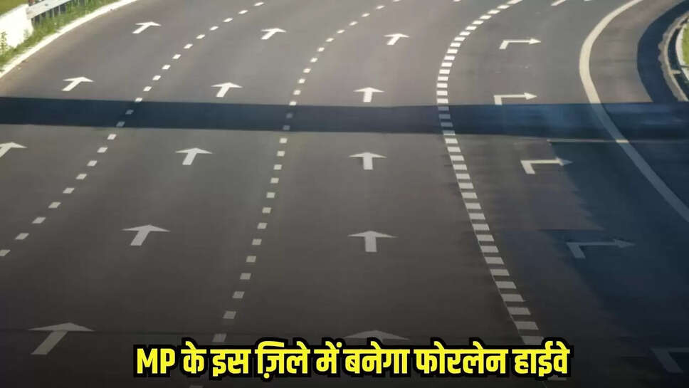 MP News