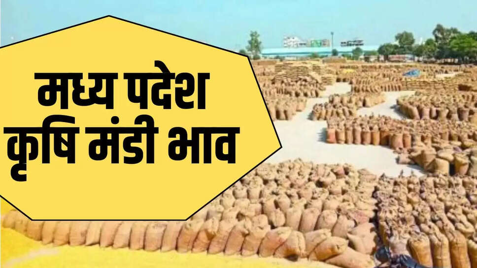 गेहूं, मक्का, जौ, उड़द, चना, सोयाबीन, मूंगफली, 