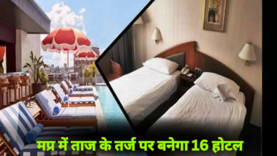MP news