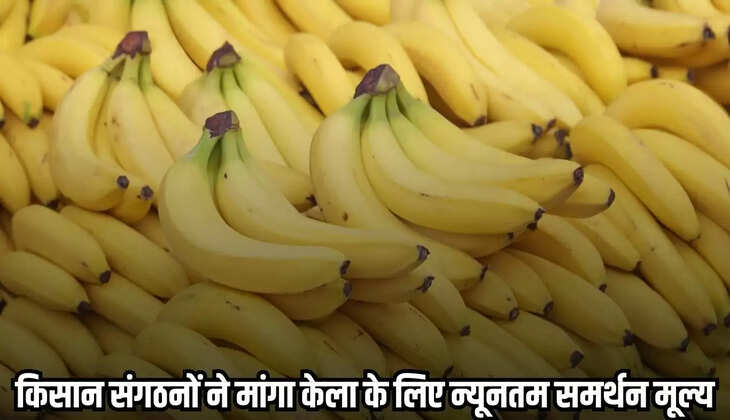 Burhanpur news, MP news,