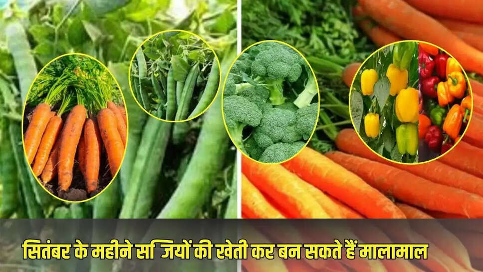 Farming tips