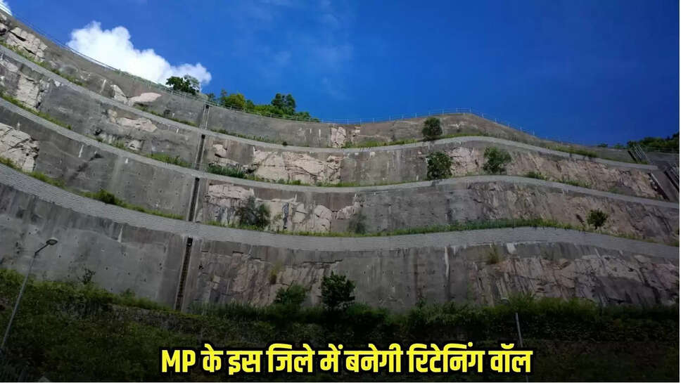 MP News