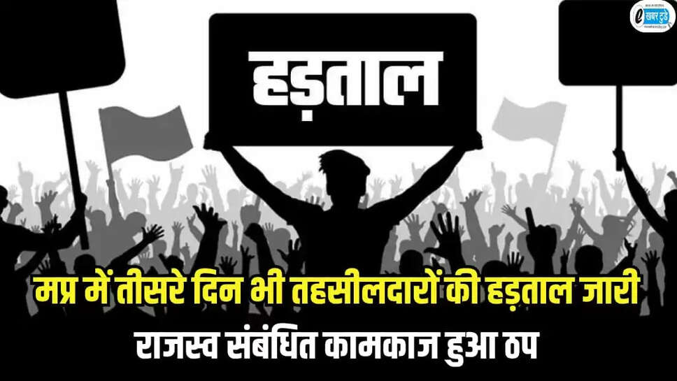 MP News