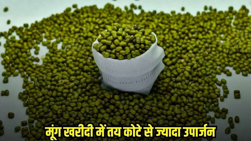 MP News