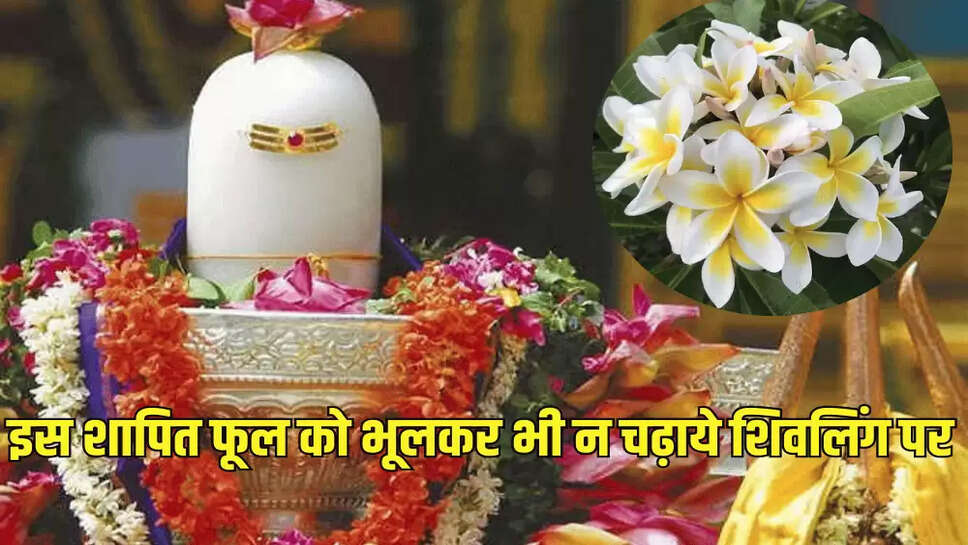 इस शापित फूल को भूलकर भी न चढ़ाये शिवलिंग पर