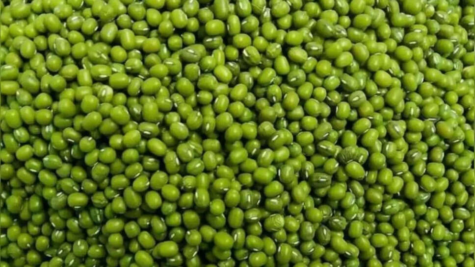 moong stock
