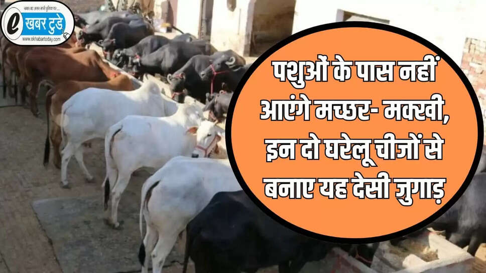 पशुओं के पास नहीं आएंगे मच्छर- मक्खी