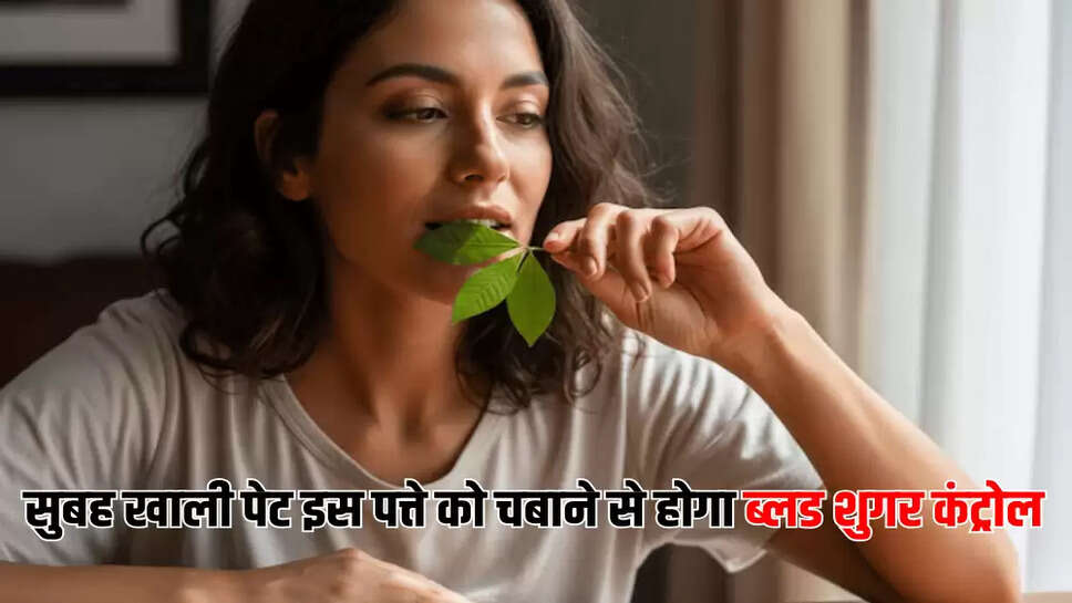सुबह खाली पेट इस पत्ते को चबाने से होगा ब्लड शुगर कंट्रोल