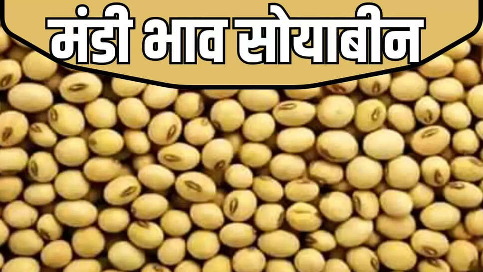 today soybean price