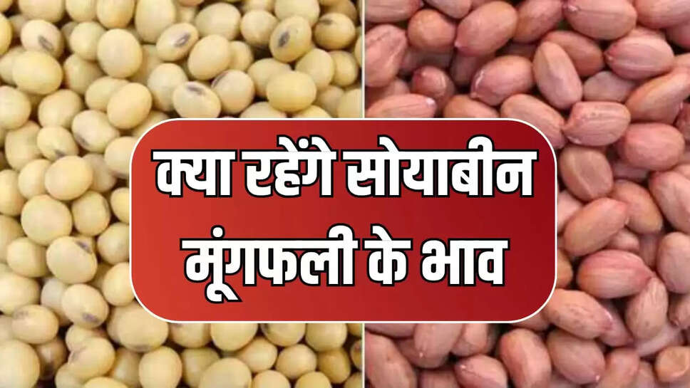 सोयाबीन के बुआई का रकबा घटा, मूंगफली