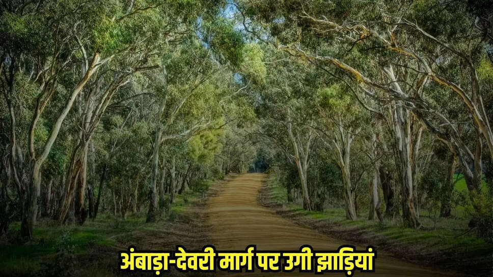 Burhanpur News