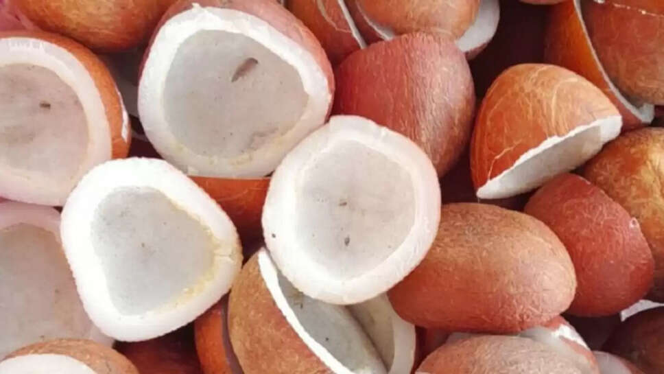  खोपरा गोला 