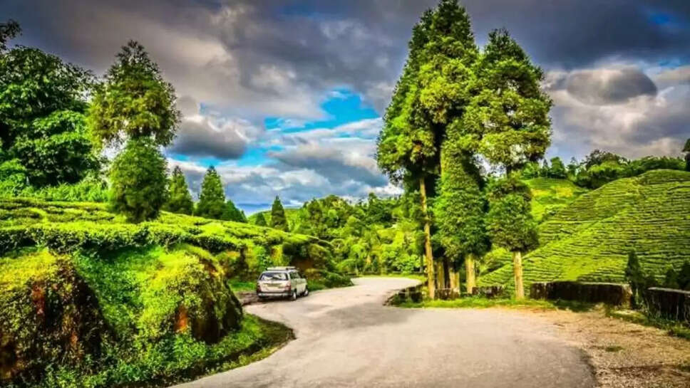 madhya pradesh tourism department 