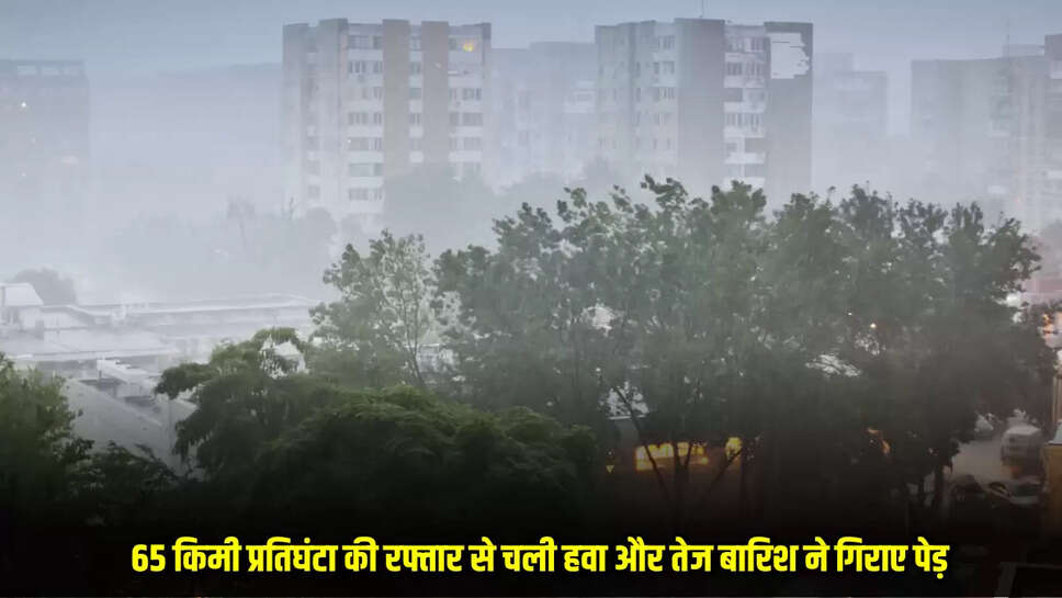 Mandsaur News