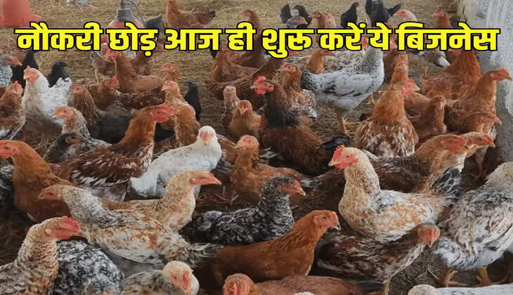 नौकरी छोड़ आज ही शुरू करें ये बिजनेस