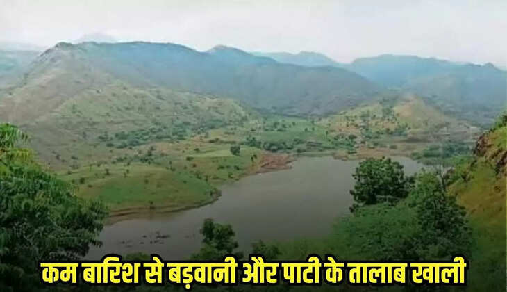 Badwani news, MP news,