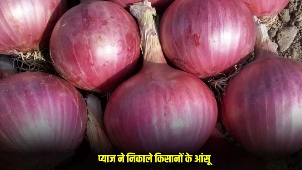 Neemuch News