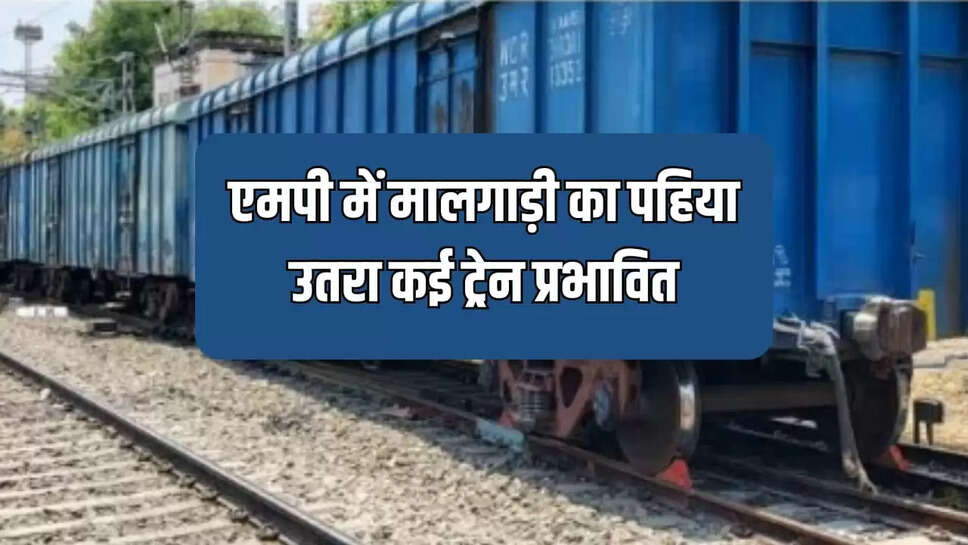 MP train 