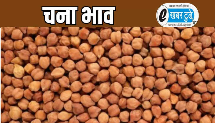 विशाल चना