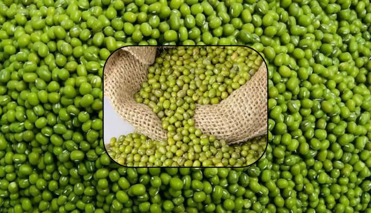 समर्थन मूल्य पर &nbsp;मुंग