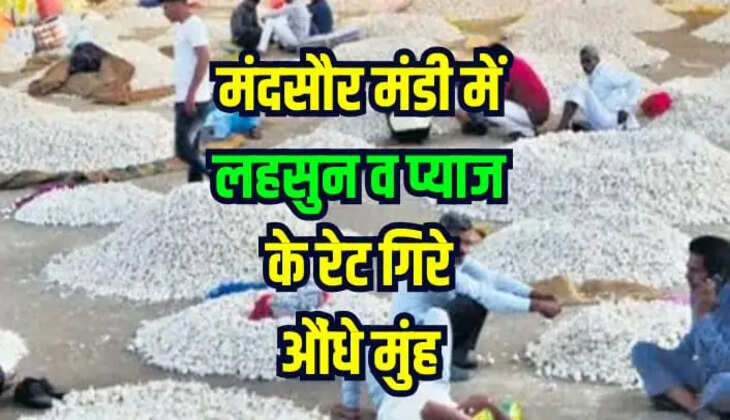 Mandsaur News