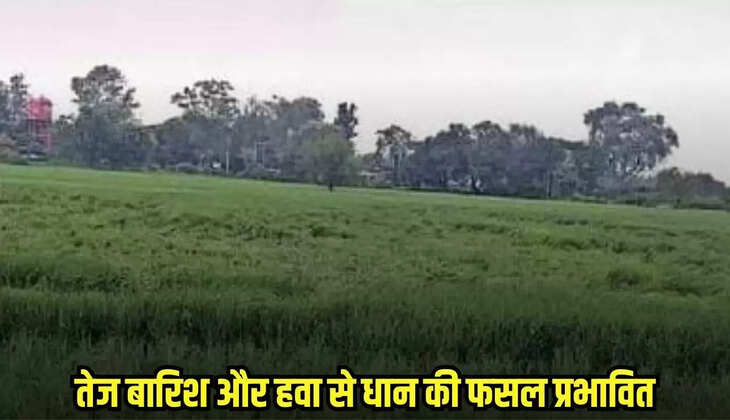 Harda news, MP news,