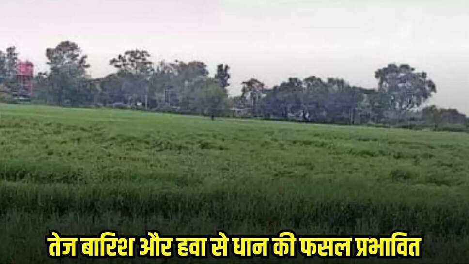 Harda news, MP news,