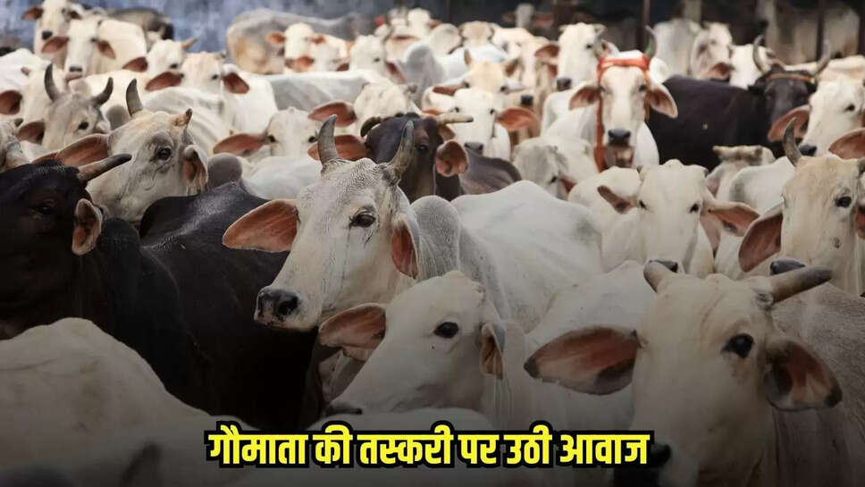 Neemuch News