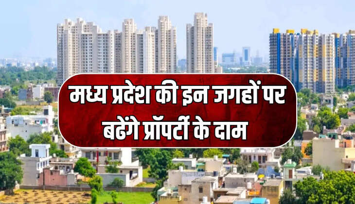 MP NEWS
