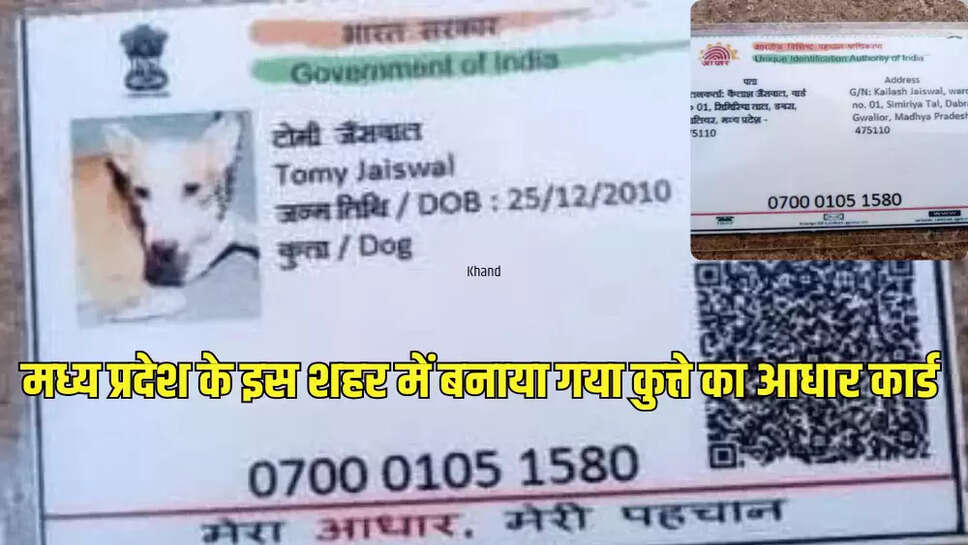  मध्य प्रदेश के इस शहर में बनाया गया कुत्ते का आधार कार्ड
