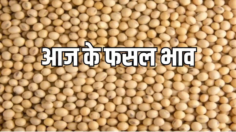  गेहूं, सोयाबीन, धनिया, जिरा,लहसुन,प्याज ,मटर, मूंगफली ,चना, मेथी, 